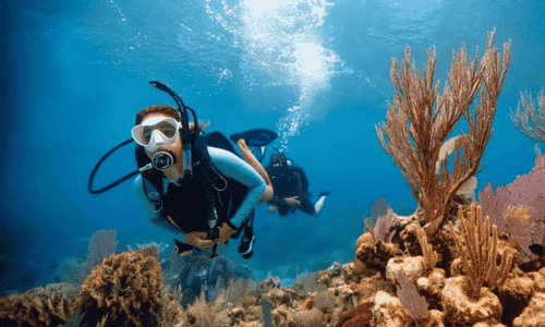 Scuba Diving With Watersports Combo At Grand Island Goa