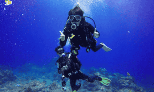 Scuba Diving At Grand Island
